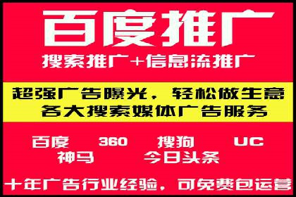谷歌竞价广告与SEO结合的营销案例解析