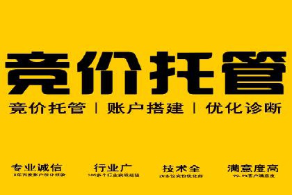 行业领先！专业SEM托管的成功实践案例